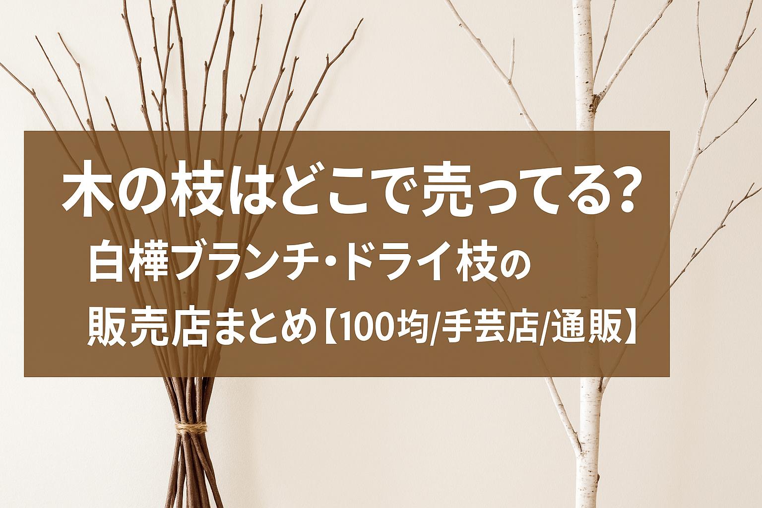 木の枝はどこで売ってる？白樺ブランチ・ドライ枝の販売店まとめ【100均/手芸店/通販】